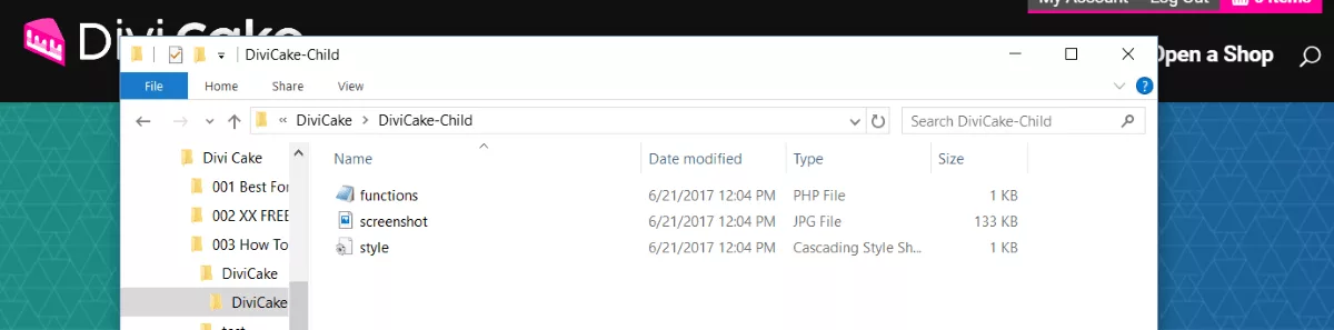 Divi child theme folder and files