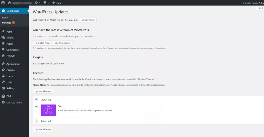 Updating Divi