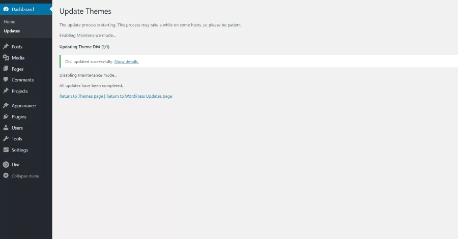 Updating Divi