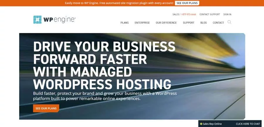 Best Hosting Options for Divi + WordPress
