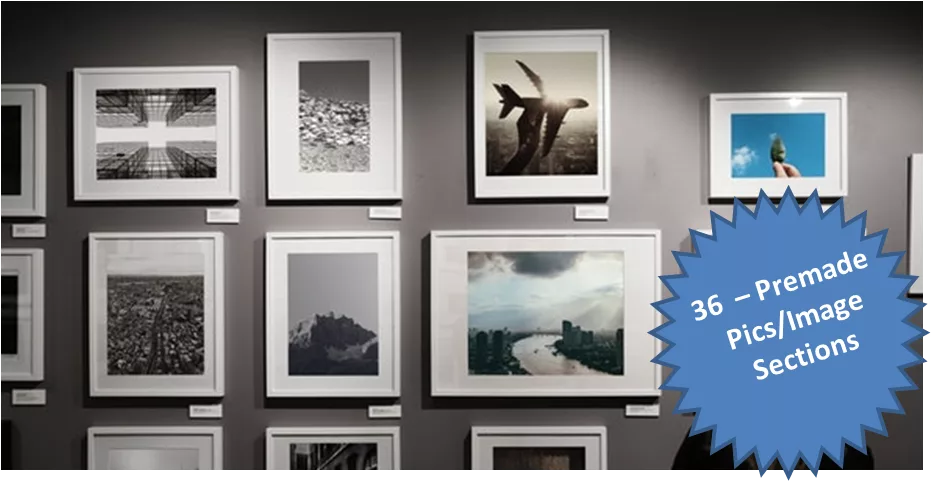 The Divi Image Module