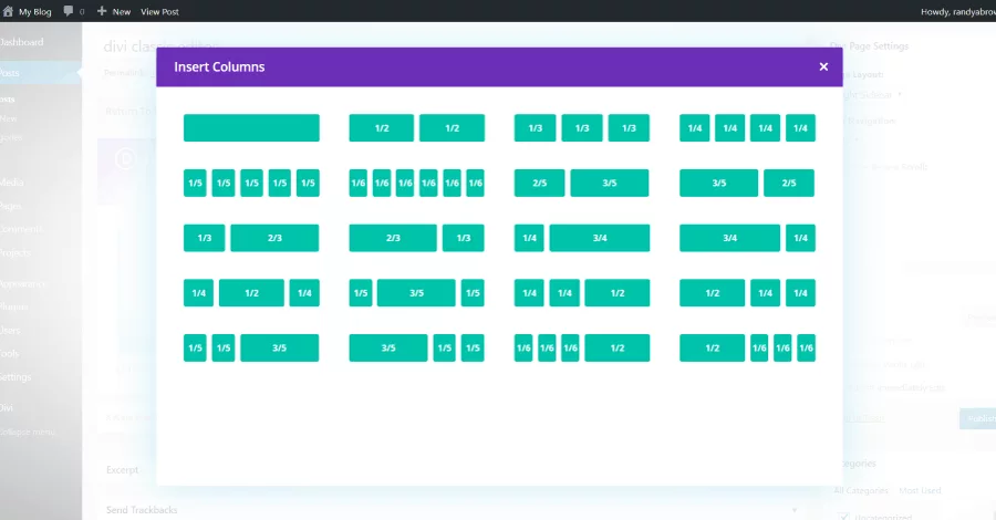 Divi has 20 column layouts to choose from to place sections, columns, rows, and modules in to create your designs.