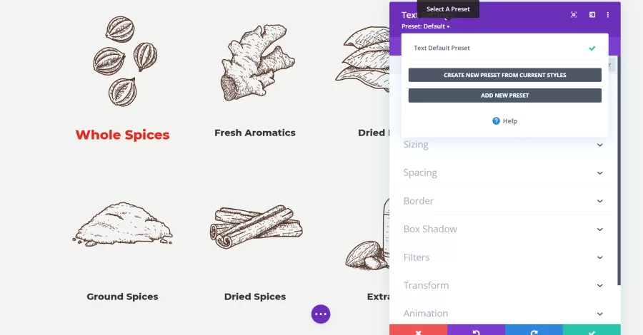 Creating a Divi Preset