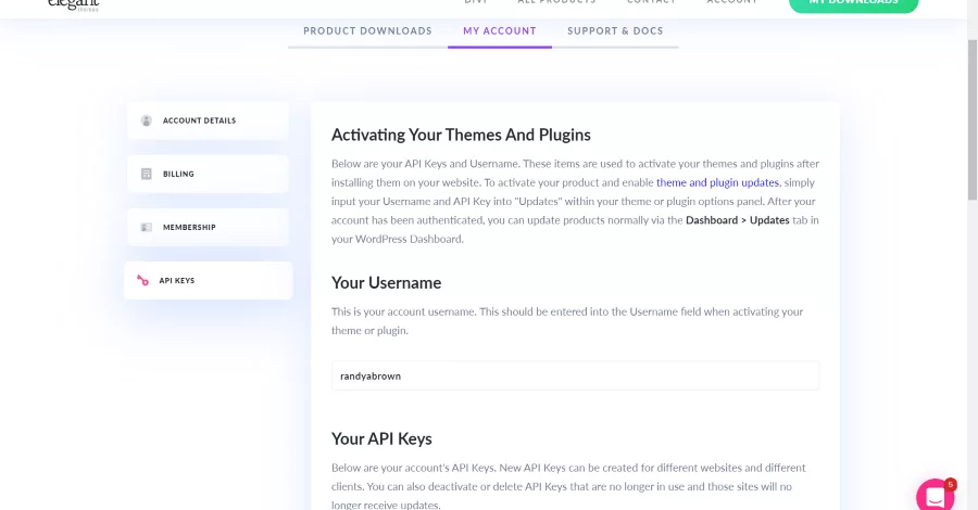 API Key