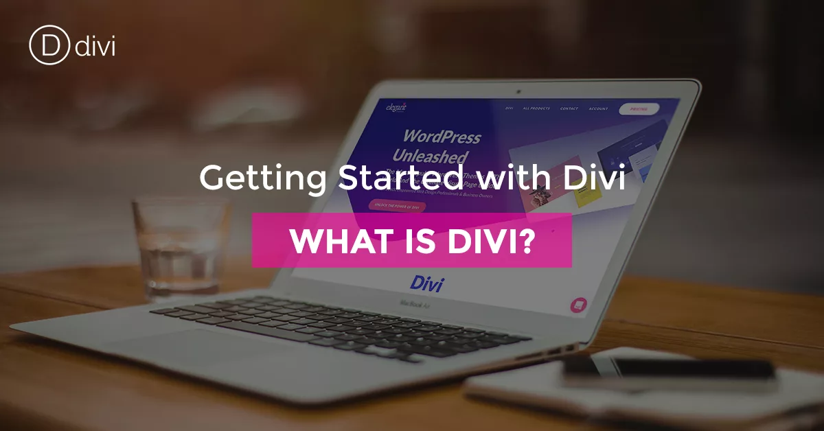 Divi User Interface