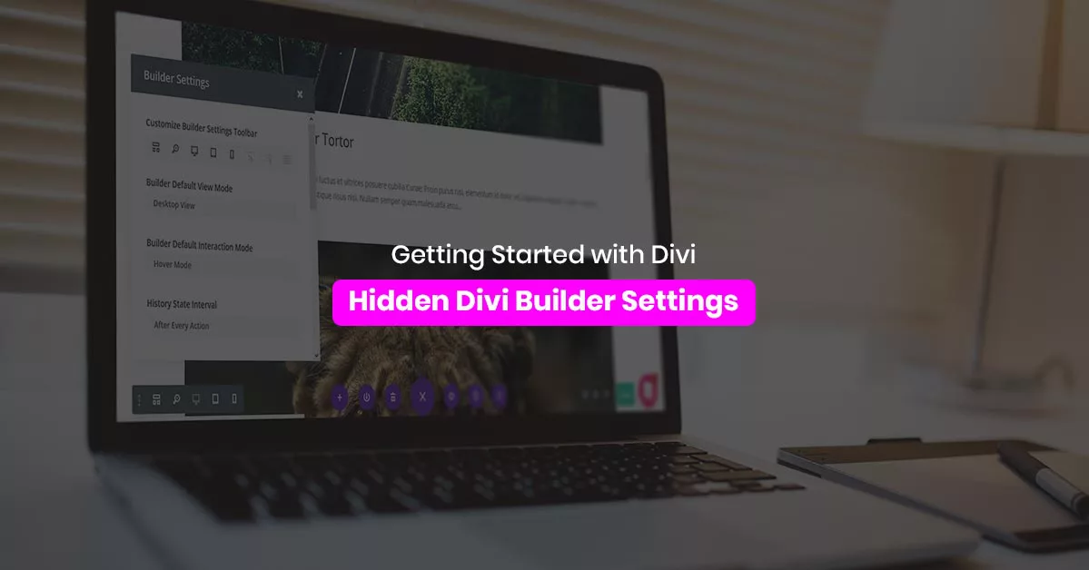 Getting Started with Divi Hidden Divi Builder Settings