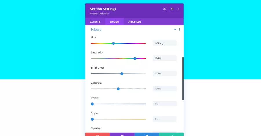 Section Settings Filters
