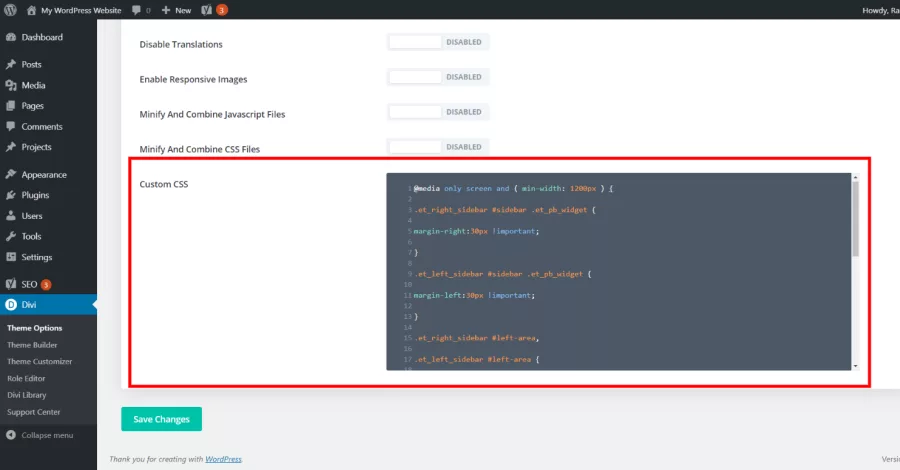 Custom CSS