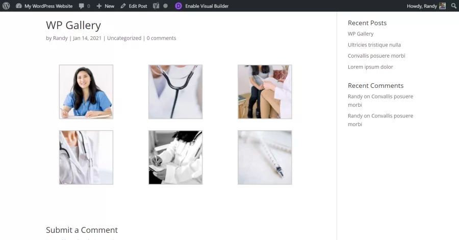 Enable Divi Gallery
