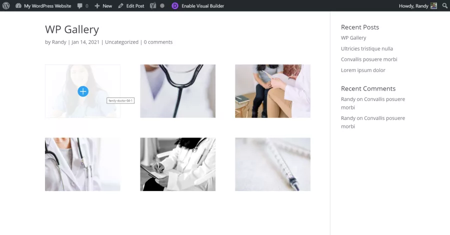 Enable Divi Gallery