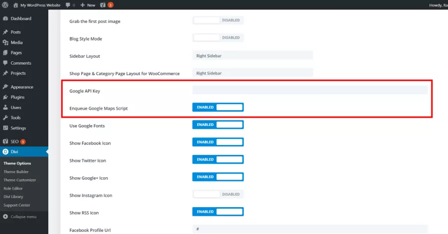 Google API Key