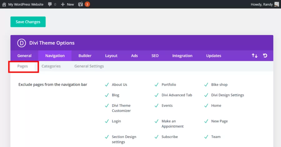 Navigation Pages Tab