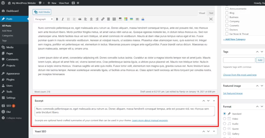 Use Excerpts When Defined