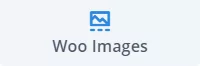 Shows the Divi Woo Images module