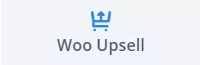 The Divi Woo Upsell Module
