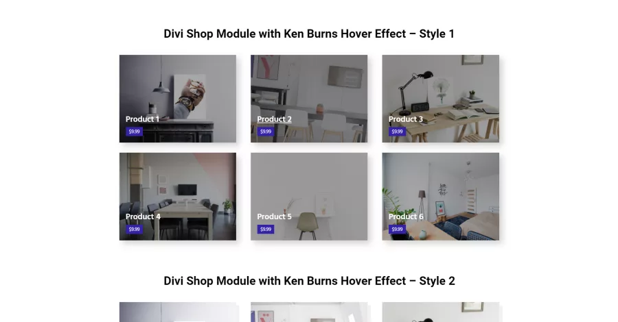 5 Divi Shop Module with Ken Burns Hover Effect