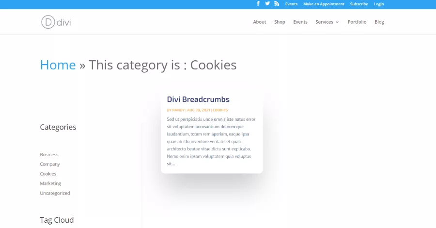 Category Breadcrumb Text and Archive Breadcrumb Text