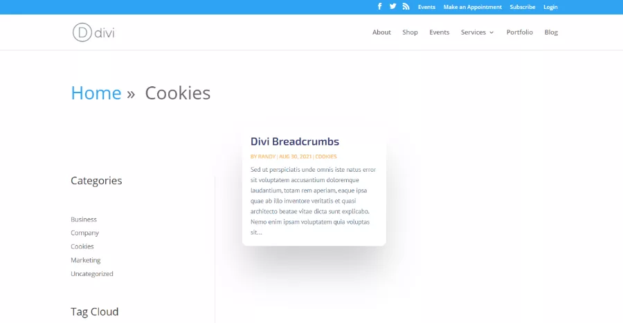 Hide Category Text and Hide Archive Text