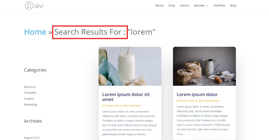 Hide Search Text