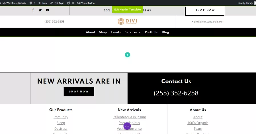 Divi Visual Builder