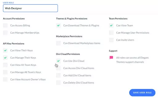 Assign Roles and Permissions to Team Members