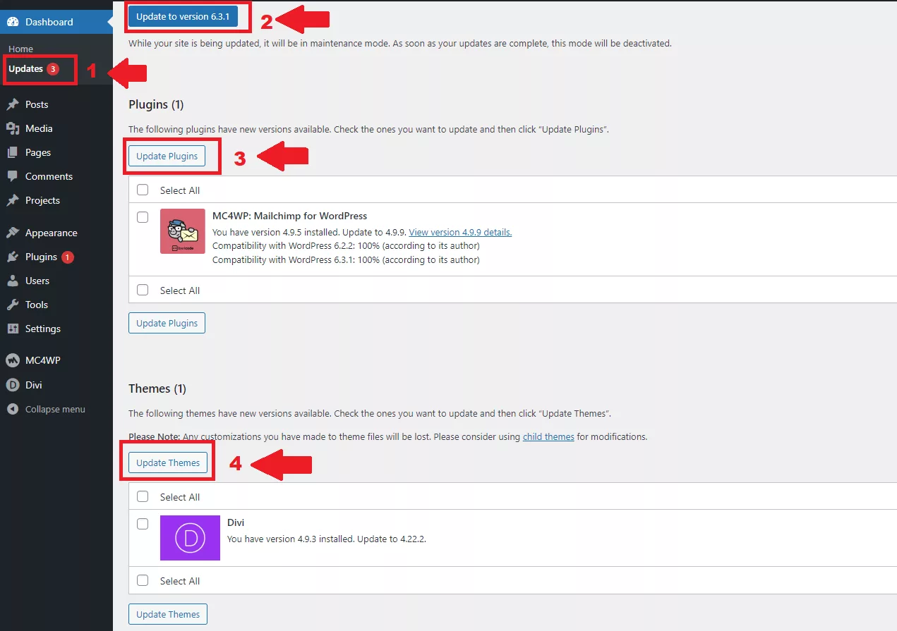 To keep everything running smoothly and solve any Divi Bugs, make sure you update your plugins and themes regularly.