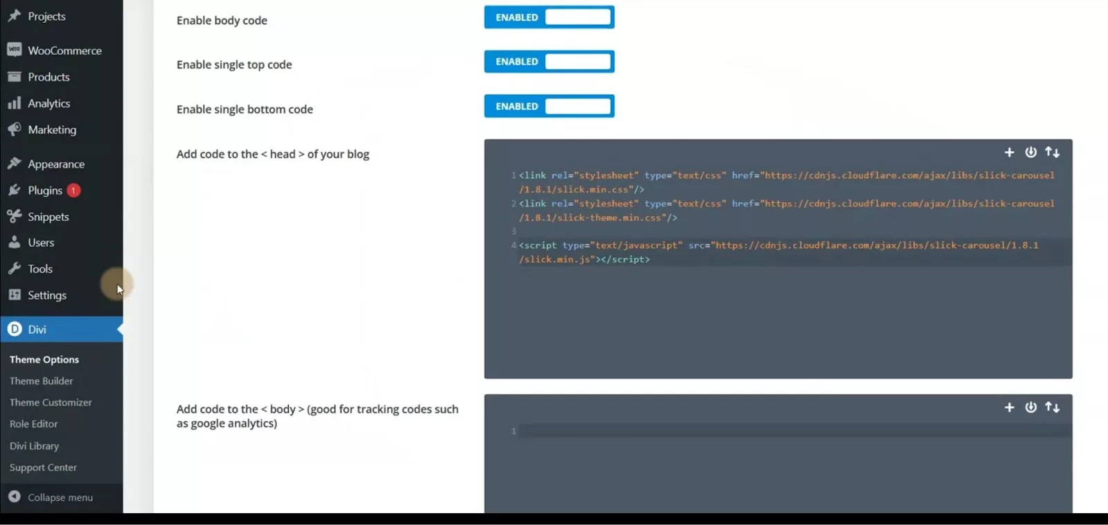 Carousel Insertion in Divi Theme Options Tab: Divi Code