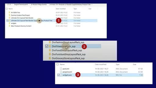 Step-by-Step Ultimate Divi Modules UI Bundle’s .wie Widget Import
