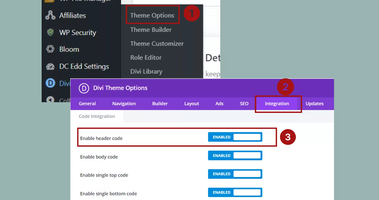 Divi’s Theme Options: Enable Header Code to Implement Carousel Code from Integration Tab