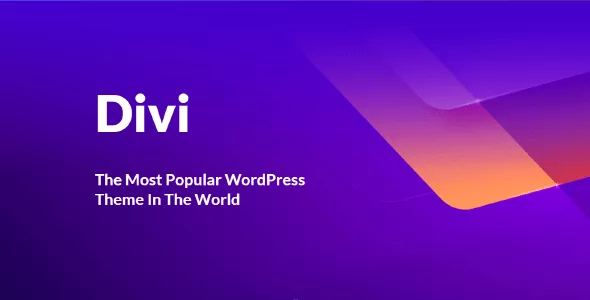 How to set up your Divi website to explore a flourishing online business.