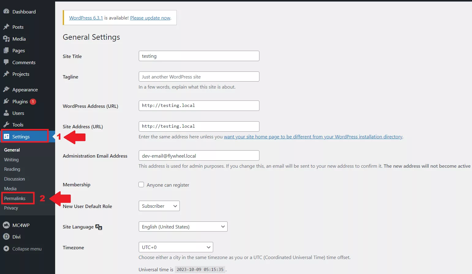 A straightforward way to fix Divi Bugs is by resaving your permalinks.
