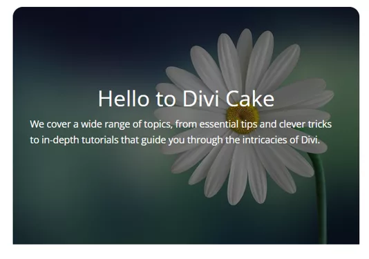 Eye-catching hover reveal effect for the Divi Blurb module