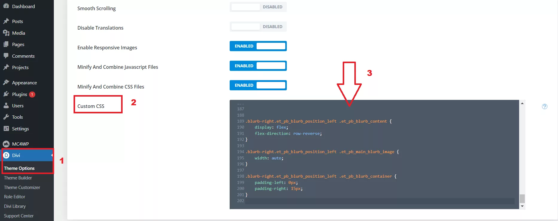 Head over to your Dashboard, click on Divi, then Theme Options, and finally, Custom CSS.