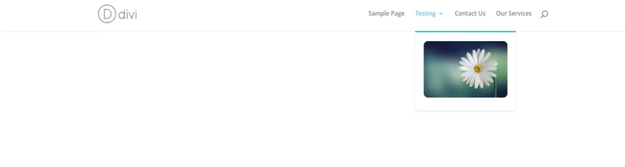 Final look of the image at the menu after applying CSS style