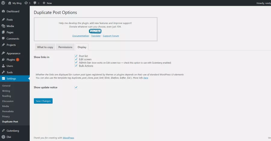 Configuring the Display tab in the Duplicate Post settings