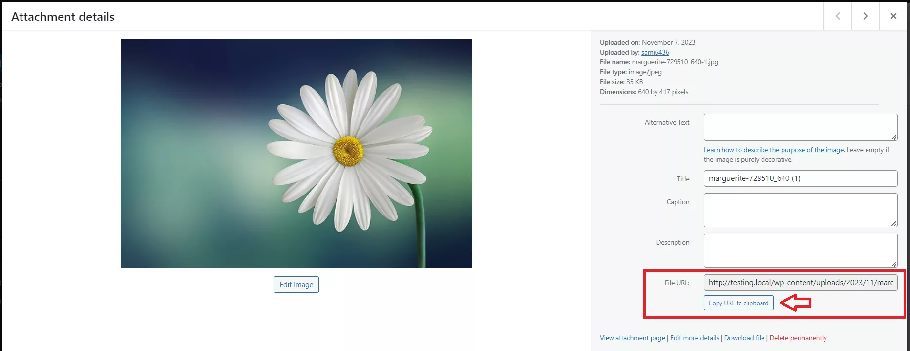 This way, you’ve got the link ready to add your chosen image to the menu without any fuss!