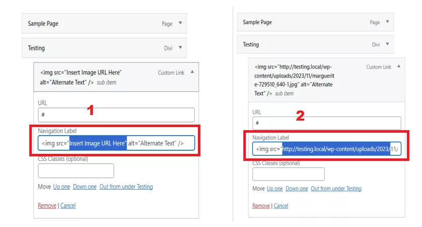Replacing the text that says “Insert Image URL Here” with the copied link.