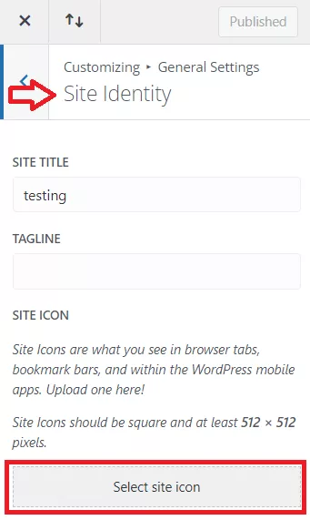 How to Add Favicon in Divi?