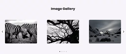 Carousel for Divi Plugin is a highly responsive and aesthetically pleasing Divi Plugin in 2024 for your WordPress website