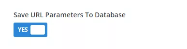 Collect information for unique parameters in the database by toggling Save URL Parameters to Database in the Divi Contact Form Helper plugin