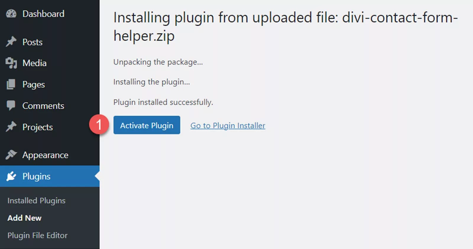 Activate Divi Contact Form Helper plugin for unlocking 100+ features