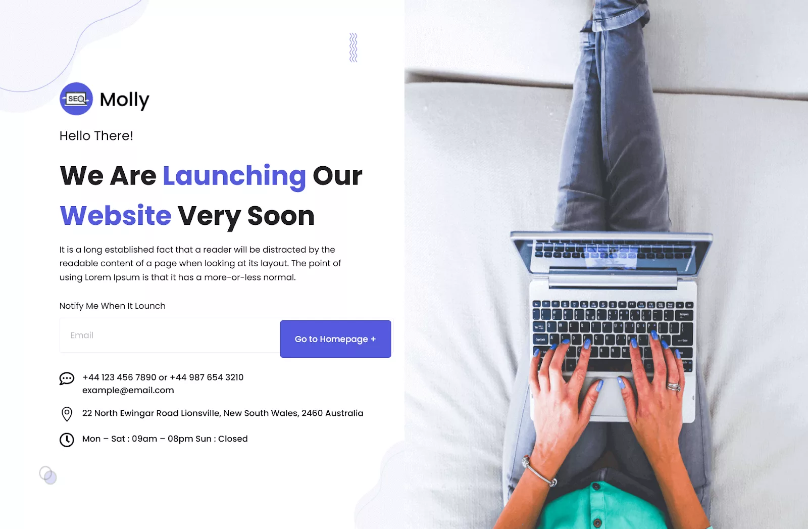 Molly Child Theme best for SEO Agencies