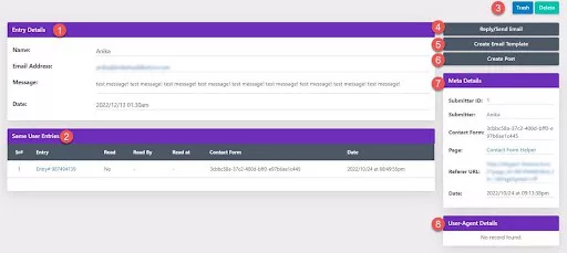 View individual entries using the Divi Contact Form Helper plugin