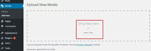 Enhancing your website with multimedia - Incorporate images, videos, and other media for a dynamic user experience