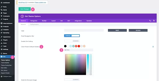 Using the Divi Theme Options for selecting the logo color