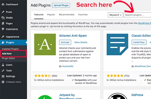 Installing and Activating a WordPress Plugin