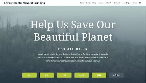 Using Divi to create a compelling homepage for a non-for-profit