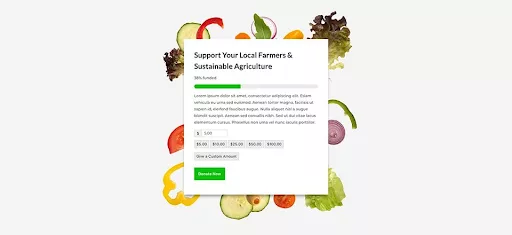 Using Divi to create a user-friendly donation form setup