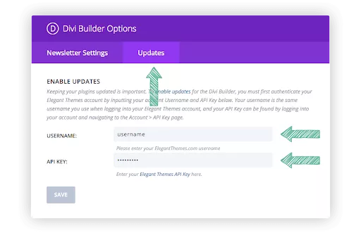 Updating plugins with the Divi Builder Options