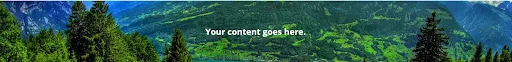Adding a blur effect to background section image on your website, can create a visually appealing design that captures the attention of your visitors